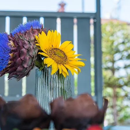 New 2021! Stella Apartament Poreč