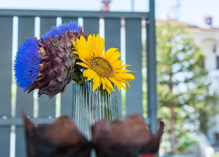 New 2021! Stella アパート ポレッチ